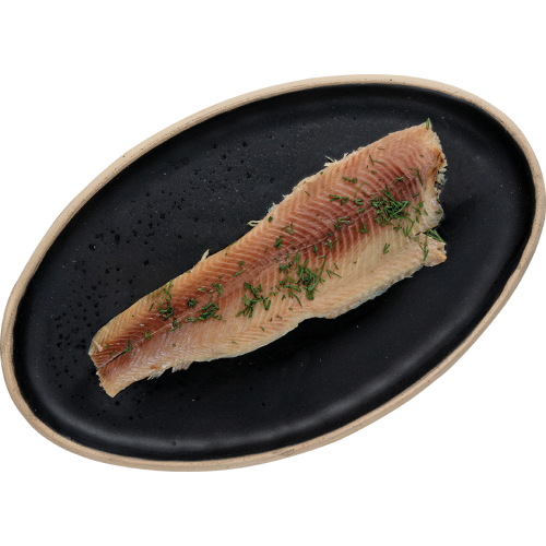 202510-500×500-1.png