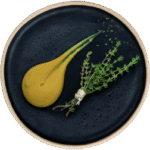 dressings